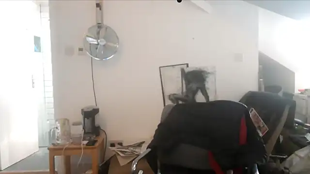 mista sista fista online show from September 19, 2025, 2:54 pm