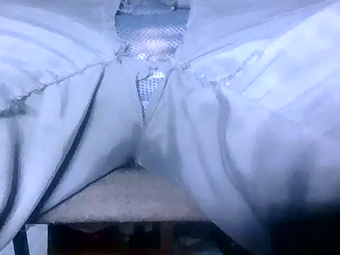 Snapshot of Cock4LadiesONLY chatting on September 17, 2025, 2:41 pm Cock4LadiesONLY online show from September 17, 2025, 2:41 pm