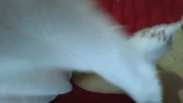 Snapshot of sweetriki chatting on July 29, 2026, 5:34 pm sweetriki online show from July 29, 2026, 5:34 pm