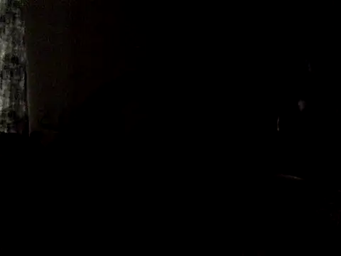 halopc online show from October 1, 2025, 10:41 am