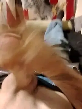 helldonk online show from April 25, 2026, 2:47 pm