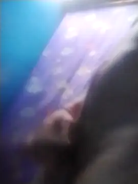 Snapshot of Karalxxx chatting on October 25, 2025, 9:37 pm Karalxxx online show from October 25, 2025, 9:37 pm