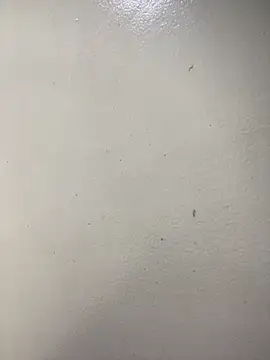 Snapshot of Issa_Santana chatting on February 21, 2026, 7:16 pm Issa Santana online show from February 21, 2026, 7:16 pm