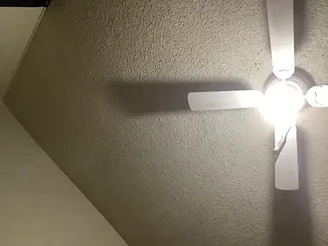 NiftyCaptain3 online show from March 31, 2026, 3:47 pm