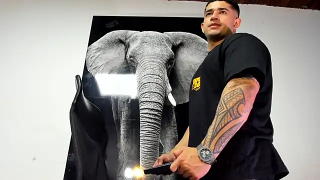 king falconer online show from October 31, 2025, 2:08 am