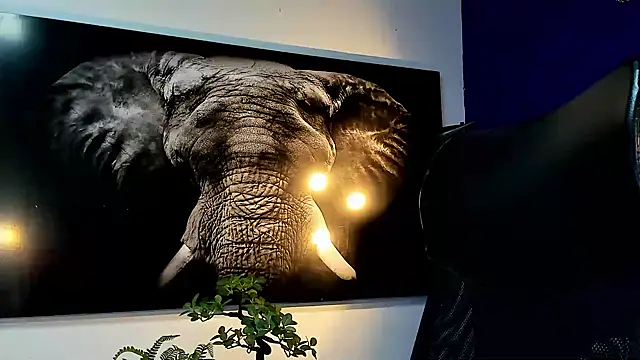 king falconer online show from November 27, 2025, 12:55 am