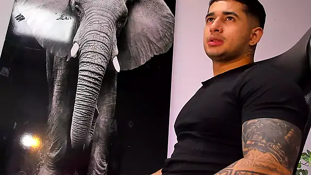 king falconer online show from October 28, 2025, 3:18 am