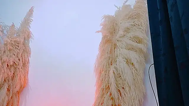 Snapshot of JulietaDavis chatting on February 20, 2026, 9:33 am JulietaDavis online show from February 20, 2026, 9:33 am