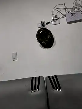 Snapshot of Hiroshi_Shen chatting on November 26, 2025, 10:48 am Hiroshi Shen online show from November 26, 2025, 10:48 am