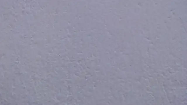 carolina zabala 19 online show from April 4, 2026, 8:48 pm