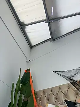 TweetiePieXXX online show from October 31, 2025, 10:05 pm