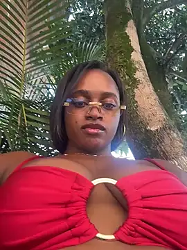 darle volant online show from February 14, 2026, 2:50 pm