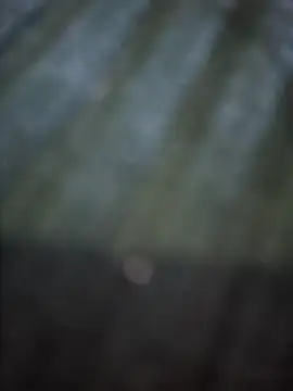 VesperVelvet online show from March 28, 2026, 3:51 am