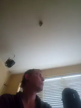 Snapshot of piercingpik chatting on April 19, 2026, 6:21 pm piercingpik online show from April 19, 2026, 6:21 pm