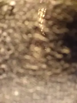 Venessa online show from December 5, 2025, 1:16 am