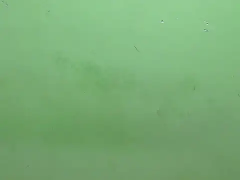 Snapshot of rockyy23boy chatting on October 15, 2025, 10:23 am rockyy23boy online show from October 15, 2025, 10:23 am