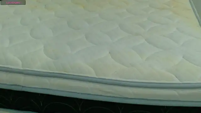 BeccaReedd online show from October 14, 2025, 2:56 am