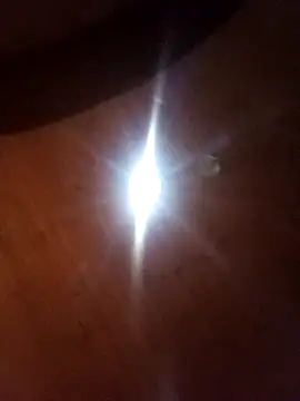 Snapshot of Alexi7196 chatting on March 19, 2026, 4:23 am Alexi7196 online show from March 19, 2026, 4:23 am