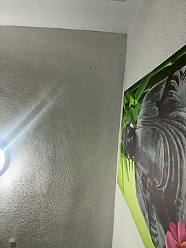 aavrdvh33 online show from February 3, 2026, 10:26 pm