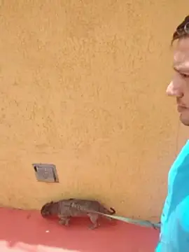 jeff pepoer online show from January 7, 2026, 3:39 pm