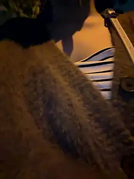 Snapshot of Meii-meyy chatting on January 16, 2026, 2:54 pm Meii-meyy online show from January 16, 2026, 2:54 pm