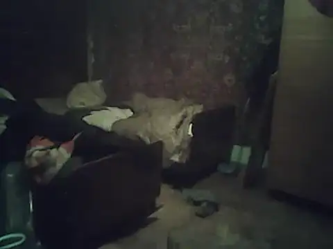 A1B3- online show from February 2, 2026, 3:55 pm