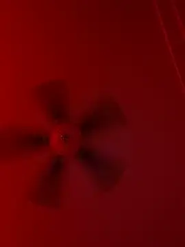 Snapshot of Taydagr8 chatting on September 19, 2025, 7:56 am Taydagr8 online show from September 19, 2025, 7:56 am