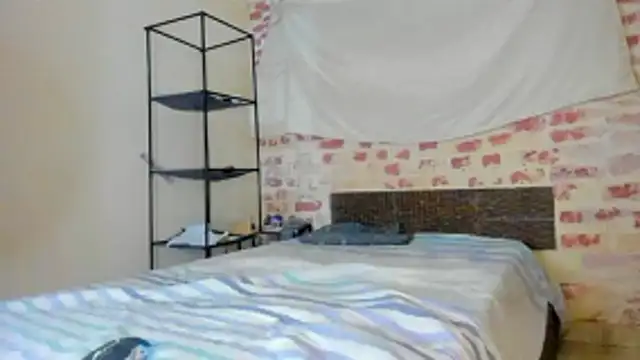 DandyWolf0 online show from December 1, 2025, 6:25 am