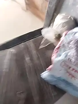 Snapshot of Wet_BunnyFun chatting on February 25, 2026, 10:04 am Wet BunnyFun online show from February 25, 2026, 10:04 am