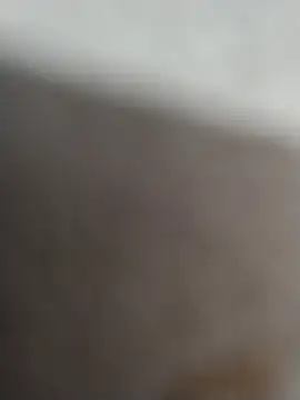 Snapshot of 12dery chatting on February 15, 2026, 7:20 am 12dery online show from February 15, 2026, 7:20 am