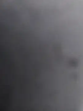 Snapshot of 12dery chatting on November 10, 2025, 11:37 am 12dery online show from November 10, 2025, 11:37 am