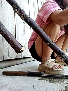 daisy will online show from February 16, 2026, 8:02 am