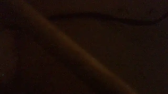 Snapshot of pietje1991 chatting on February 5, 2026, 4:47 pm pietje1991 online show from February 5, 2026, 4:47 pm