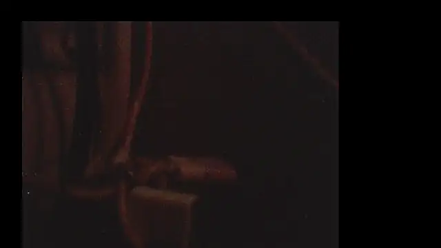 Snapshot of pietje1991 chatting on December 18, 2025, 10:24 pm pietje1991 online show from December 18, 2025, 10:24 pm