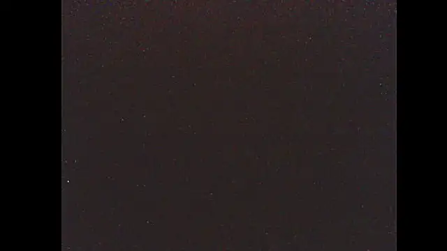 Snapshot of pietje1991 chatting on January 14, 2026, 4:05 am pietje1991 online show from January 14, 2026, 4:05 am