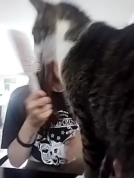 Snapshot of Cami_Konor chatting on September 11, 2025, 4:07 pm Cami Konor online show from September 11, 2025, 4:07 pm