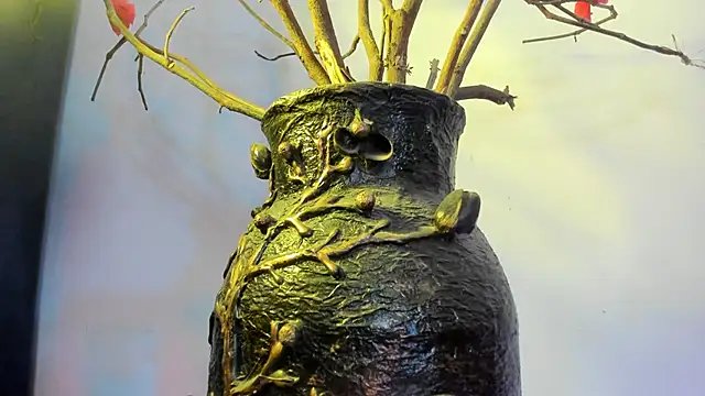 Snapshot of winderling chatting on September 15, 2025, 7:36 pm winderling online show from September 15, 2025, 7:36 pm