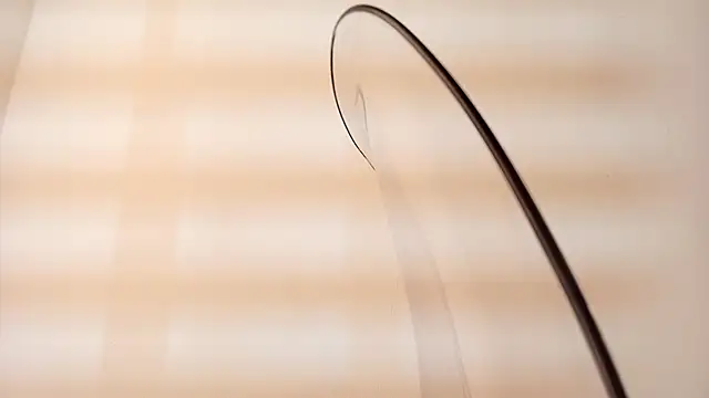 zarah andrew   online show from September 11, 2025, 12:38 pm