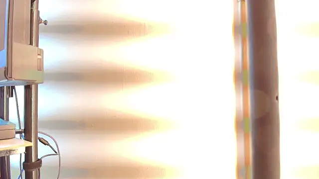 zarah andrew   online show from November 19, 2025, 1:33 pm