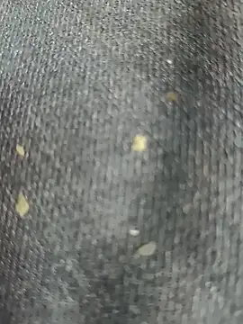 Narckse online show from September 15, 2025, 7:31 am