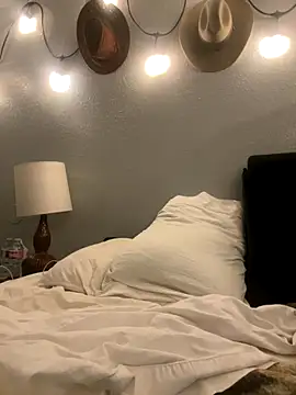 thejohnryancollection online show from November 4, 2025, 6:17 am