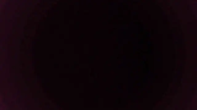 sakuradelreina online show from December 15, 2025, 4:07 am