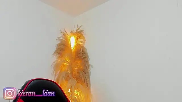 Snapshot of Kieran_kian chatting on April 19, 2026, 3:57 pm Kieran kian online show from April 19, 2026, 3:57 pm