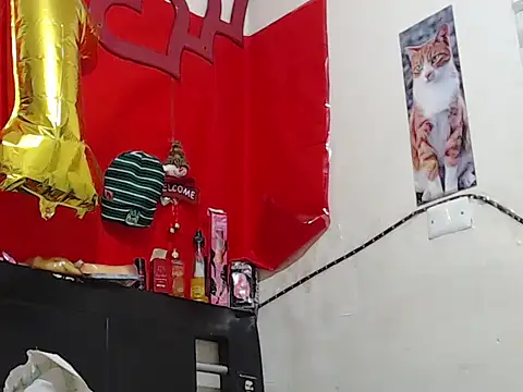 Snapshot of Npga96 chatting on February 20, 2026, 6:59 am Npga96 online show from February 20, 2026, 6:59 am