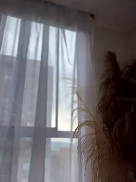 Snapshot of Sofi_Leal chatting on January 8, 2026, 12:11 pm Sofi Leal online show from January 8, 2026, 12:11 pm