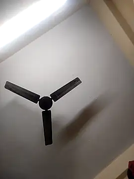 Snapshot of Devi-with-Ram chatting on October 8, 2025, 9:22 am Devi-with-Ram online show from October 8, 2025, 9:22 am