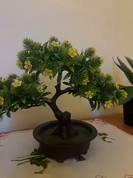 Snapshot of Michel_huge chatting on December 18, 2025, 6:07 am Michel huge online show from December 18, 2025, 6:07 am