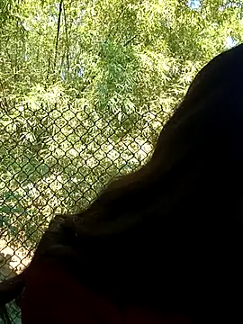 Snapshot of dimny_sex chatting on November 28, 2025, 3:17 am dimny sex online show from November 28, 2025, 3:17 am