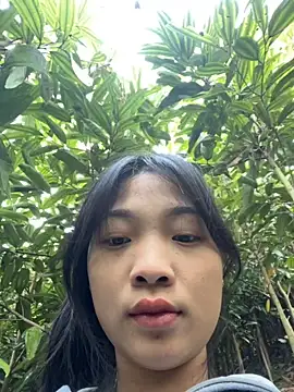 Snapshot of Phayphay77 chatting on November 25, 2025, 1:06 am Phayphay77 online show from November 25, 2025, 1:06 am