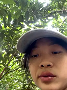 Snapshot of Phayphay77 chatting on November 17, 2025, 2:48 am Phayphay77 online show from November 17, 2025, 2:48 am